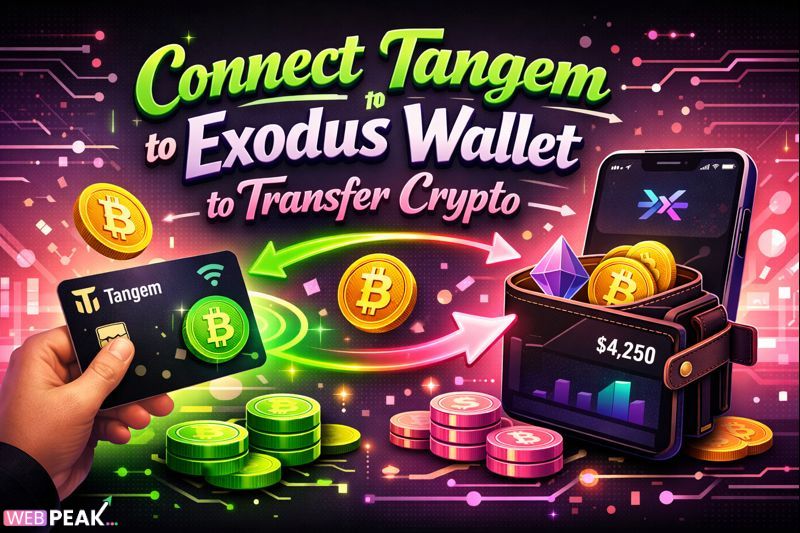 Connect Tangem to Exodus Wallet to Transfer Crypto