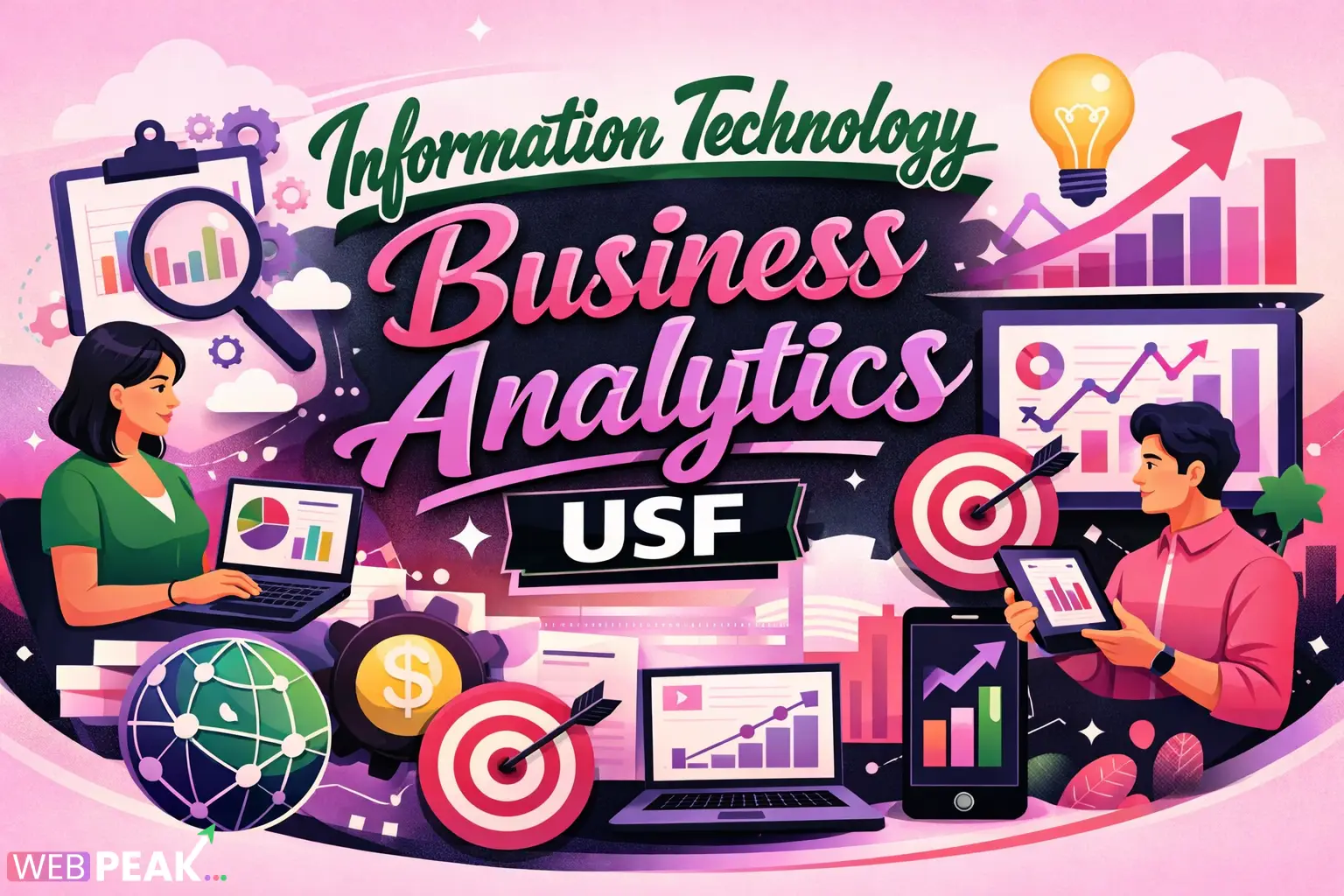 Information Technology Business Analystics USF